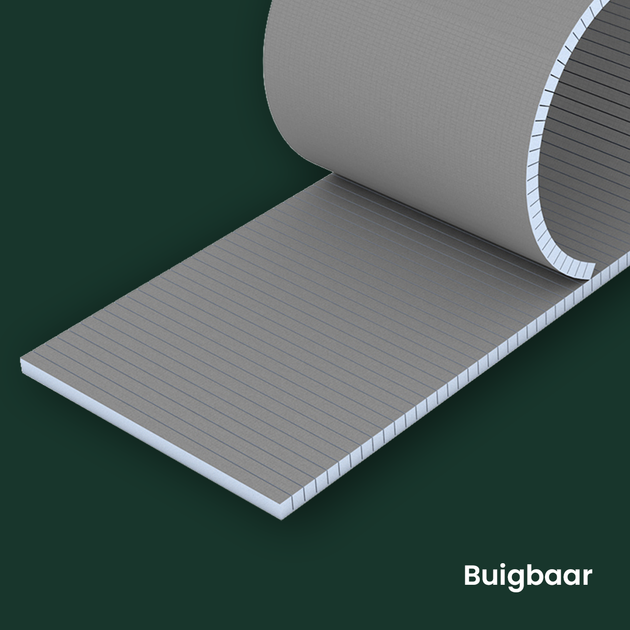 Buigbaar