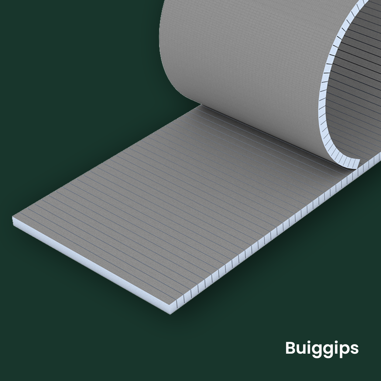 Buiggips