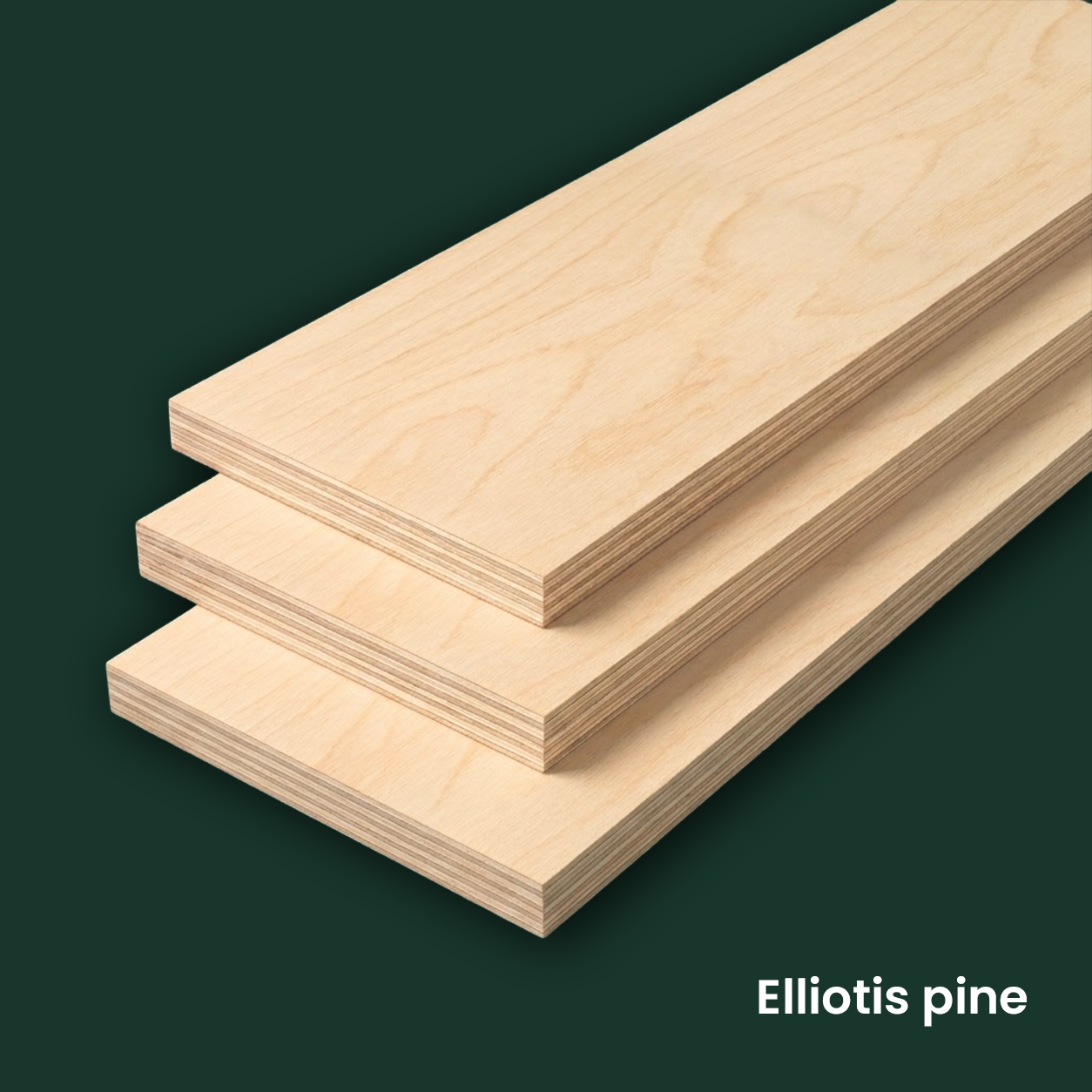 Elliotis pine 