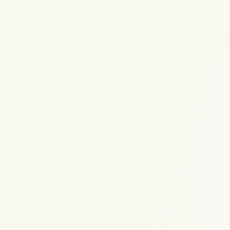 18 mm x 2800 x 2070 Unilin MDF geplastificeerd 00025 Front White CST PEFC
