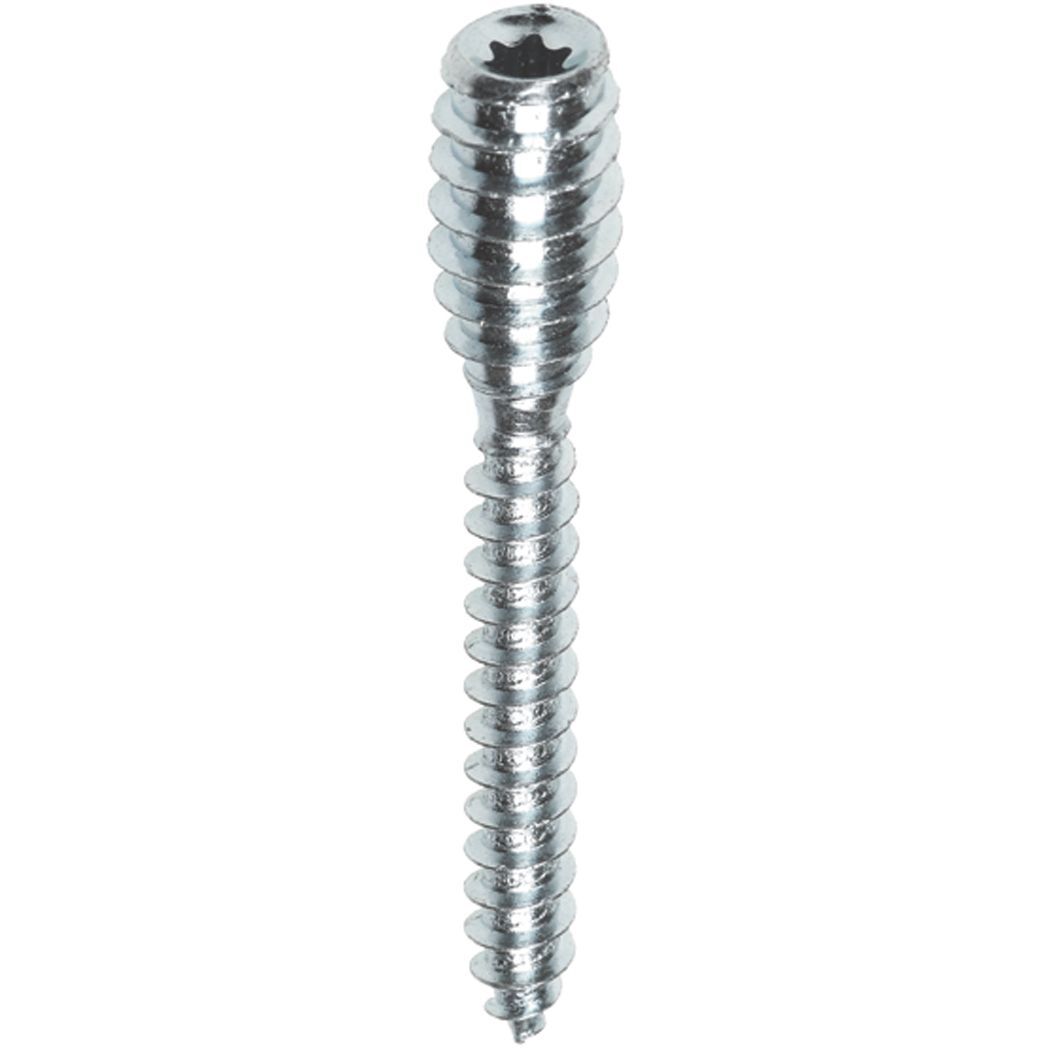 FIS Profi Afstandschroef 6 x120 verzinkt (20 st/ds)