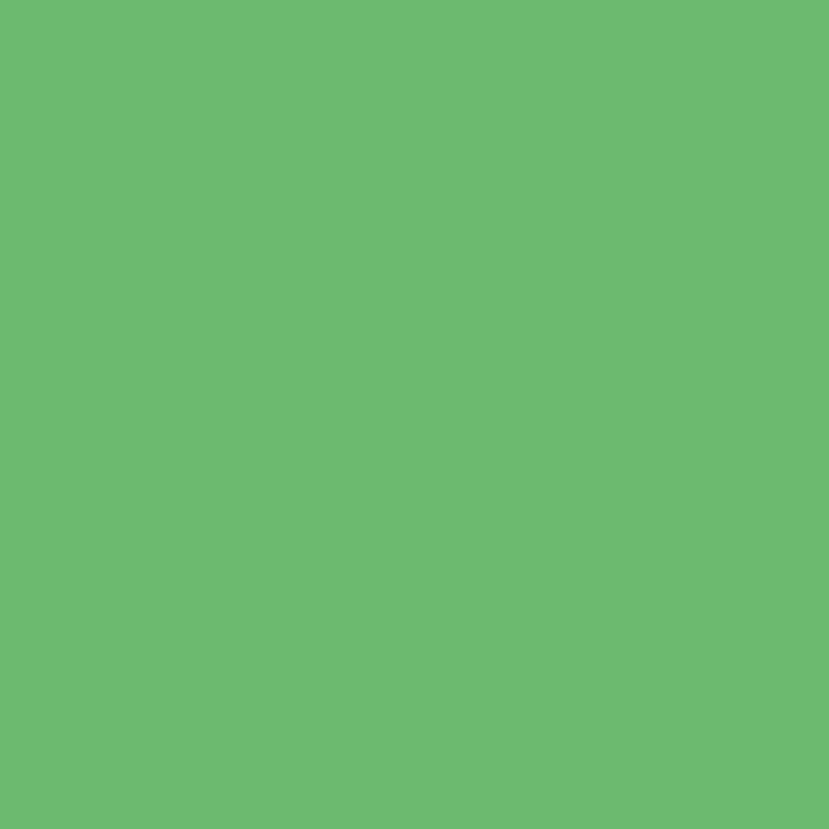 Wig groen 40 x 23 x 8 mm (350 st/ds)