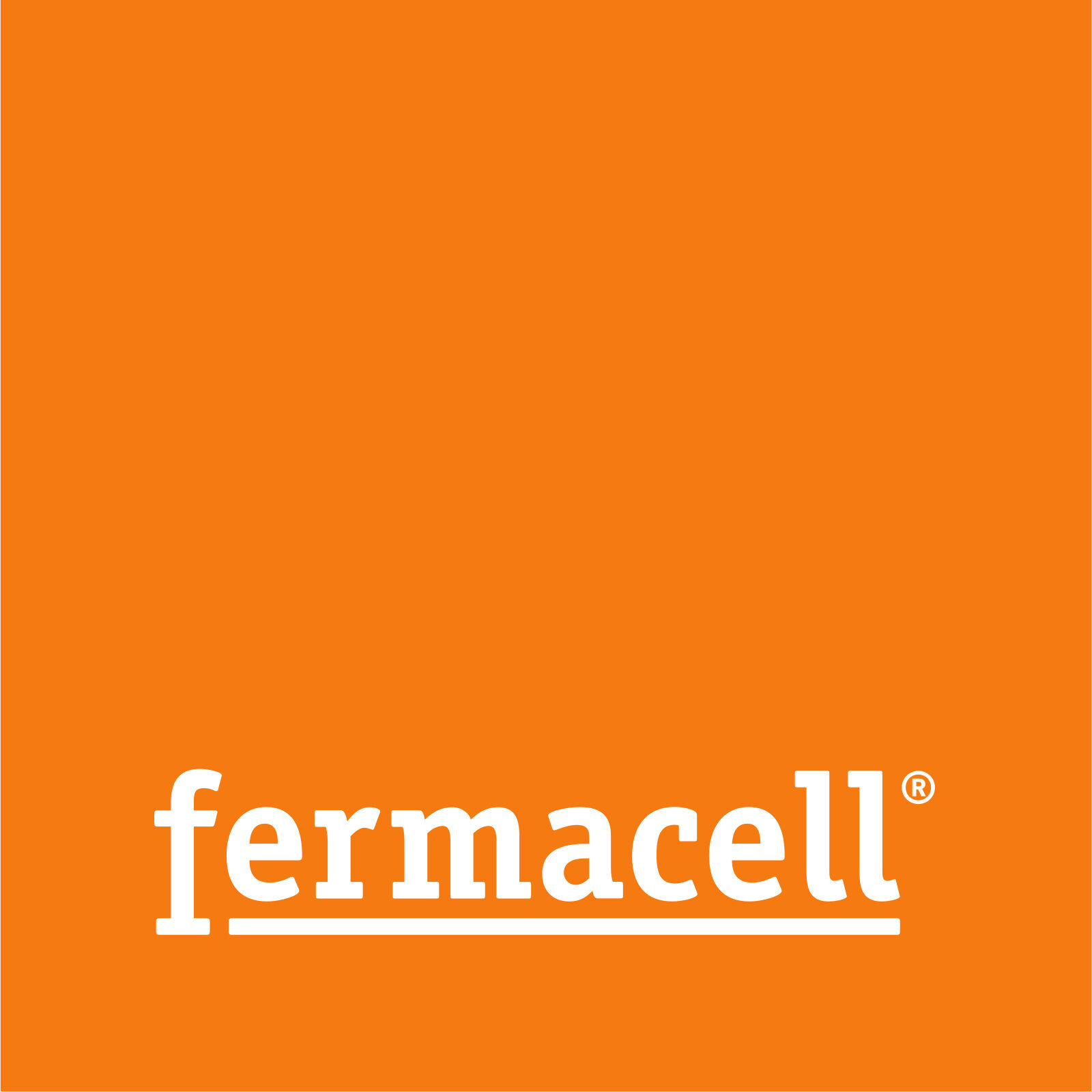 Fermacell voegengips 5kg