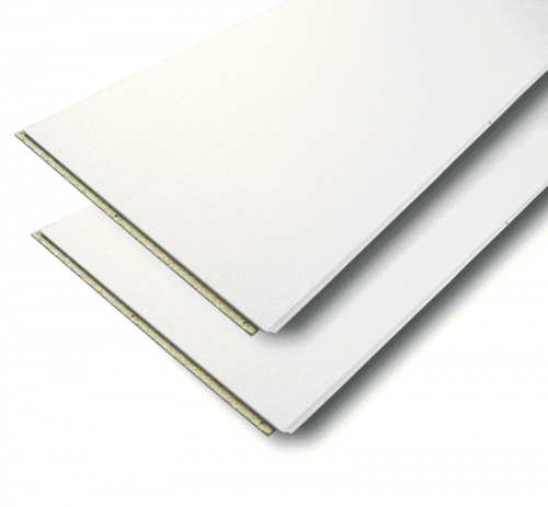 12 x 620 x 1220 mm Agnes One Step Stuc vochtwerend (4 st/pk)