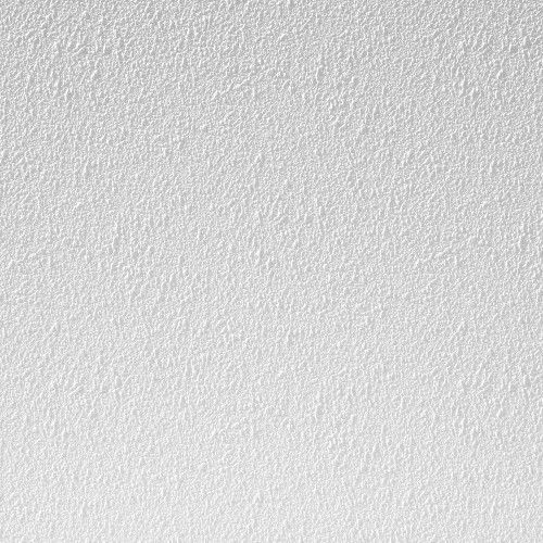12 x 620 x 1220 mm Agnes One Step Stuc vochtwerend (4 st/pk)